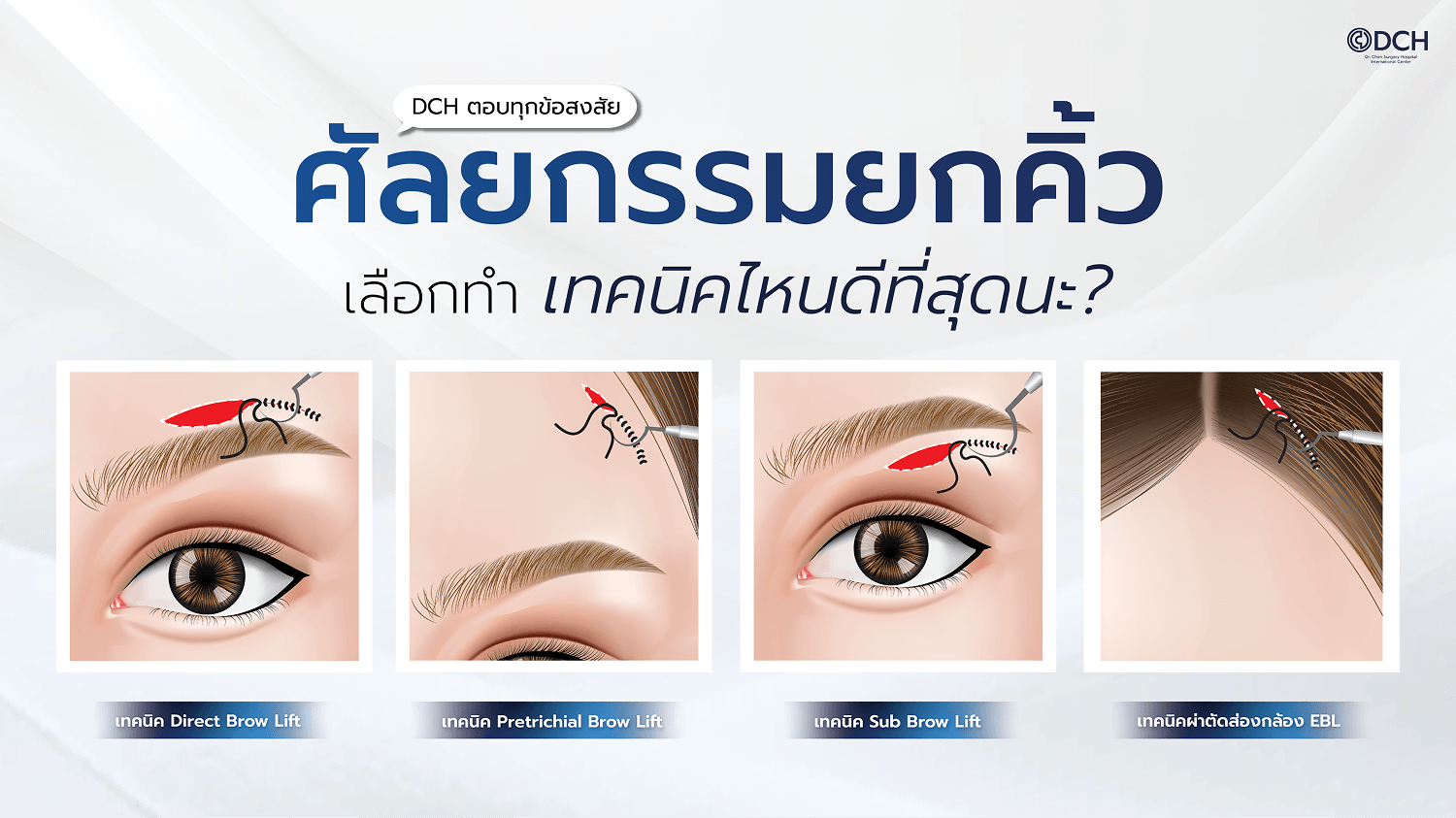 ยกคิ้ว EBL