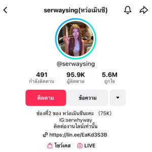 คุณเซอร์เวย์-tiktok