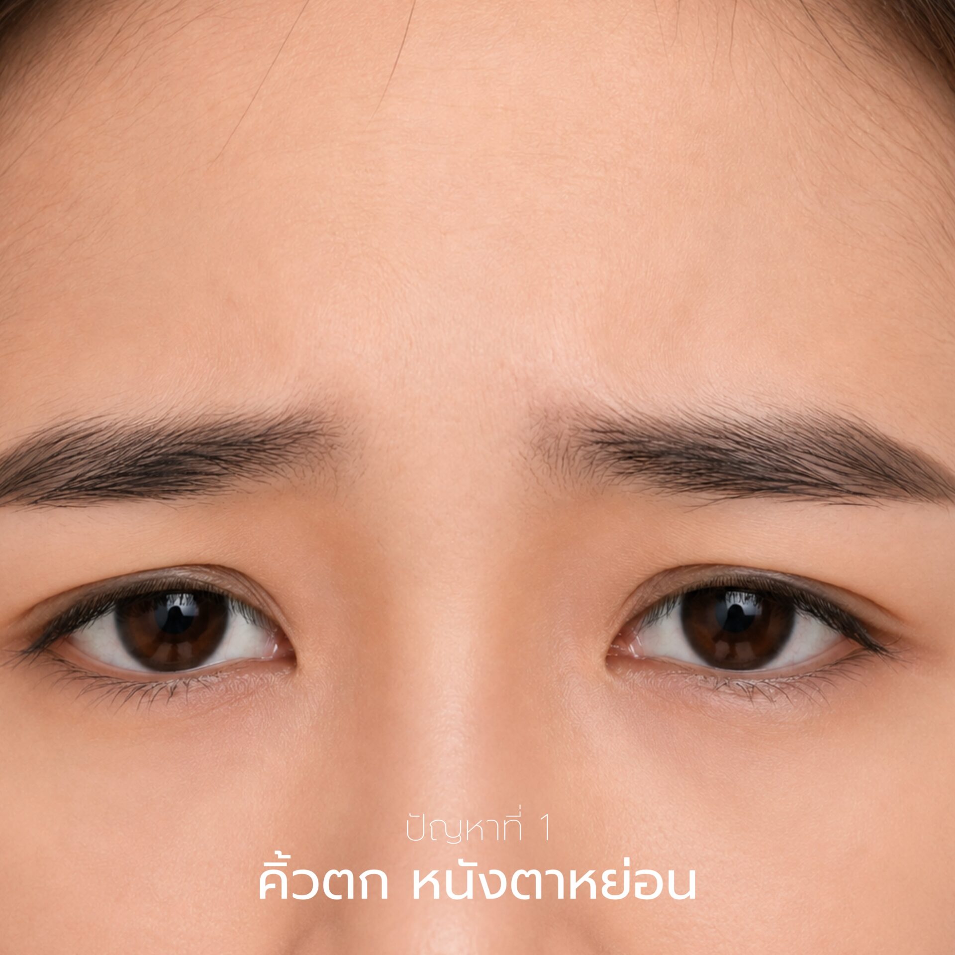 คิ้วตก