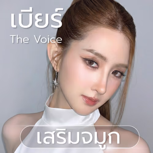 เบียร์ เดอะวอยส์